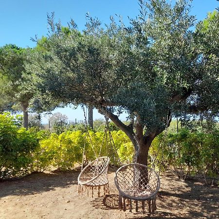 Locanda Degli Scrittori Agrigento Dış mekan fotoğraf