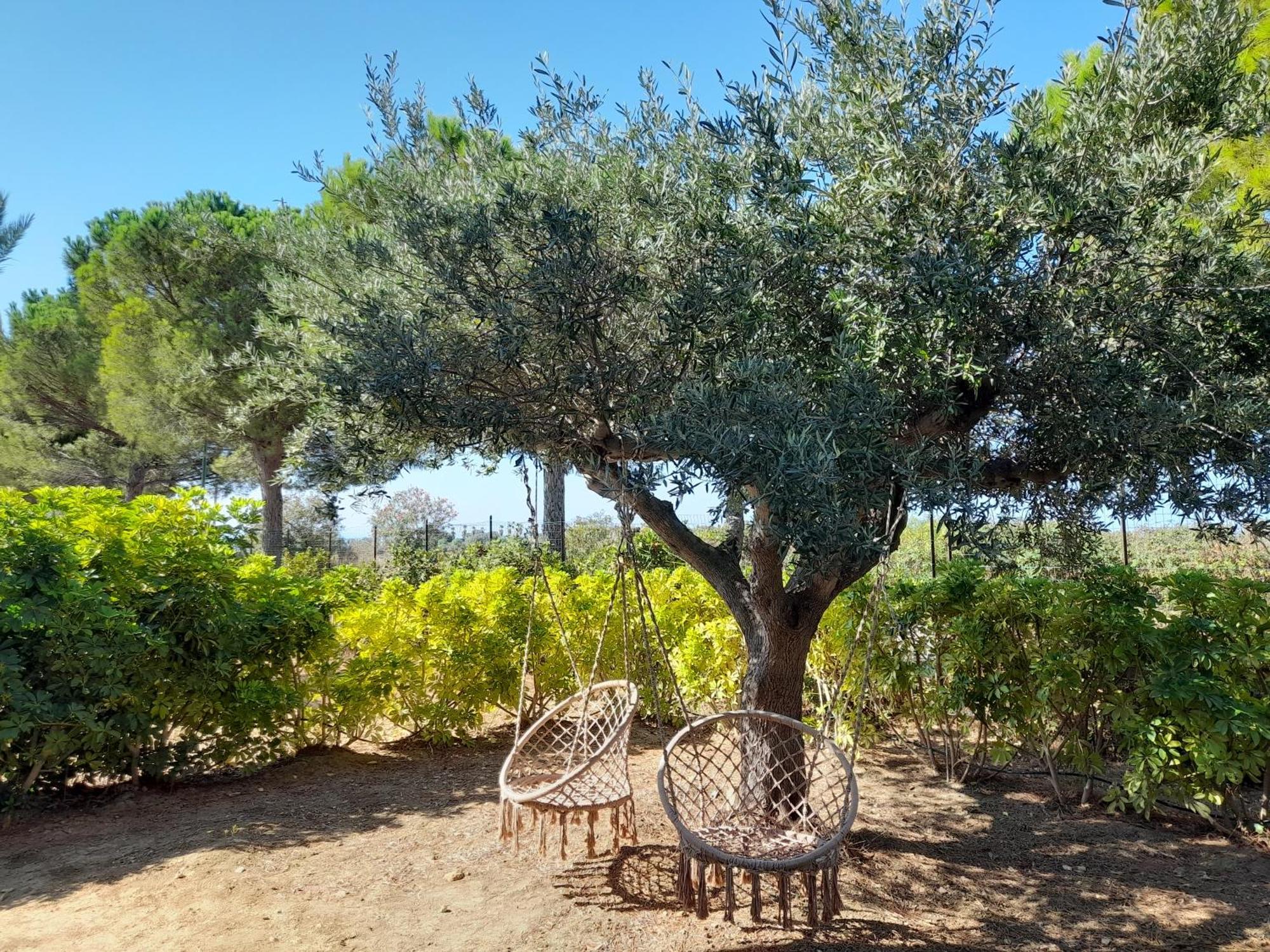 Locanda Degli Scrittori Agrigento Dış mekan fotoğraf